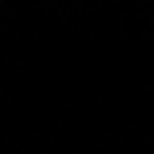 Meet your Posher, Renas